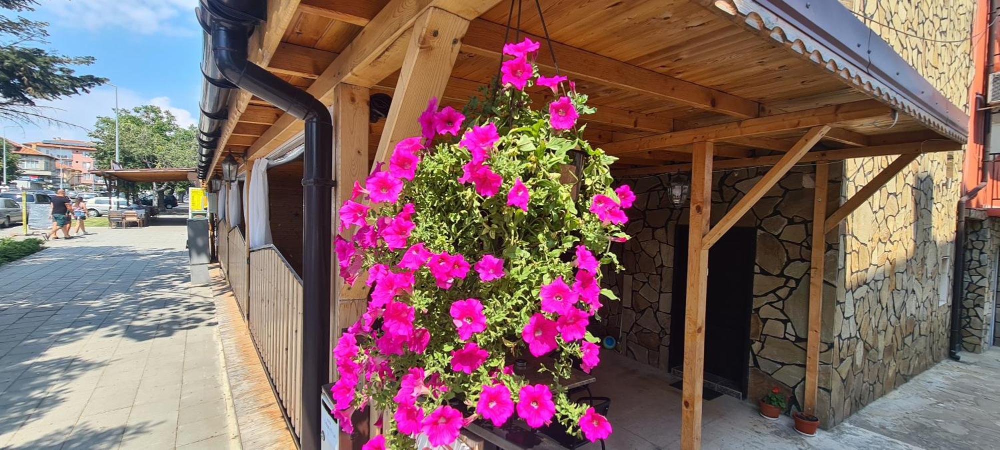 Sineva Guest House Ράβντα Εξωτερικό φωτογραφία