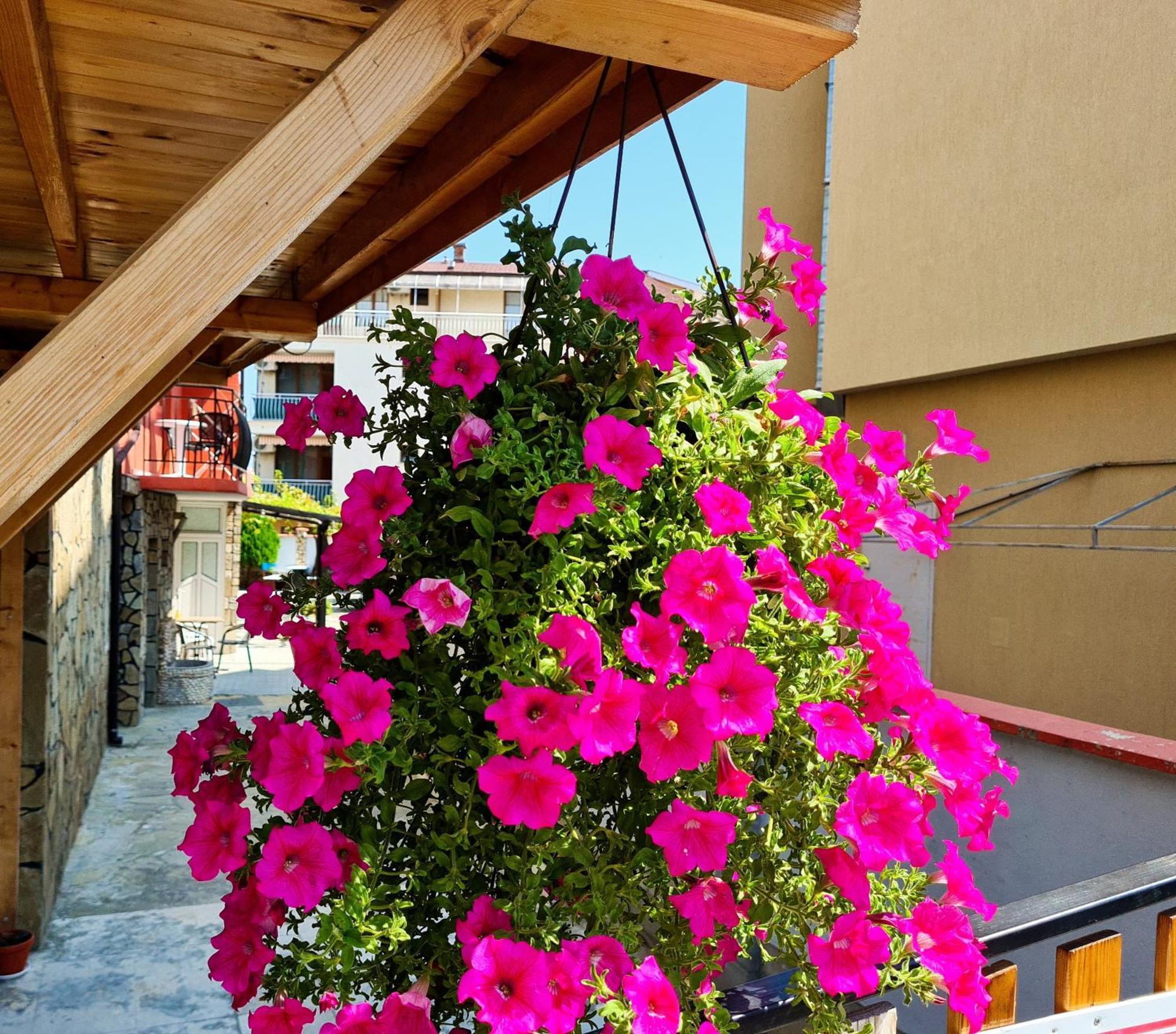 Sineva Guest House Ράβντα Εξωτερικό φωτογραφία